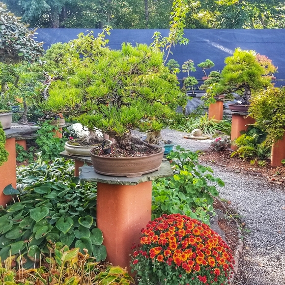 Meet the Posher Other - Meet your Posher, Christina